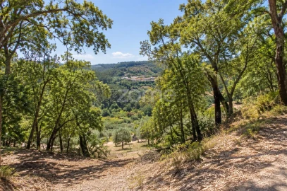 Terreno para Venda em São Miguel, Santa Eufémia e Rabaçal