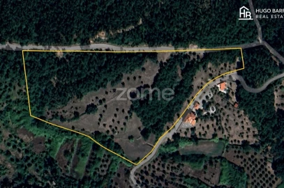 Terreno para Venda em São Miguel, Santa Eufémia e Rabaçal