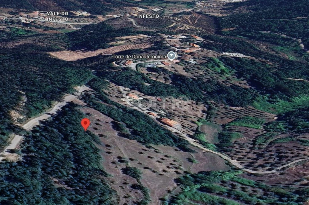 Terreno para Venda em São Miguel, Santa Eufémia e Rabaçal Foto 9