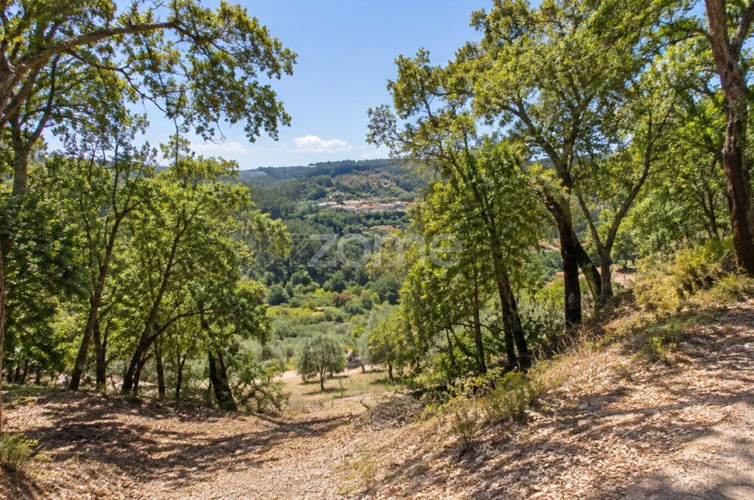 Terreno para Venda em São Miguel, Santa Eufémia e Rabaçal Foto 6