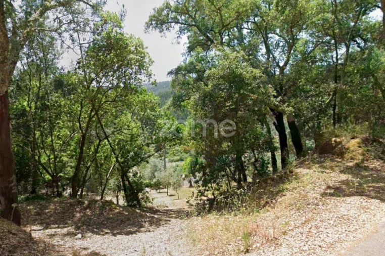 Terreno para Venda em São Miguel, Santa Eufémia e Rabaçal Foto 5