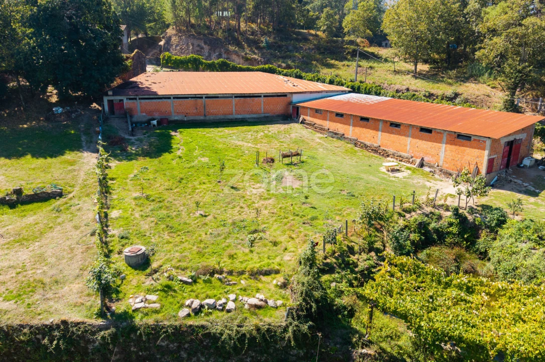 Terreno para Venda em Louredo Foto 8