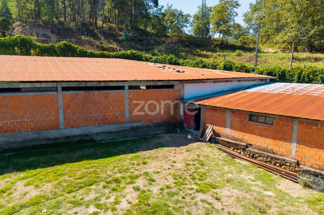 Terreno para Venda em Louredo Foto 5