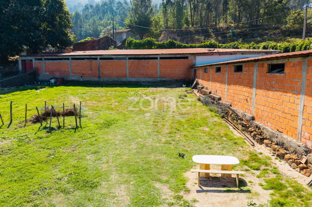 Terreno para Venda em Louredo Foto 6