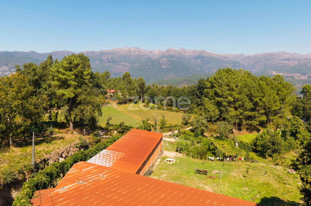 Terreno para Venda em Louredo Foto 11