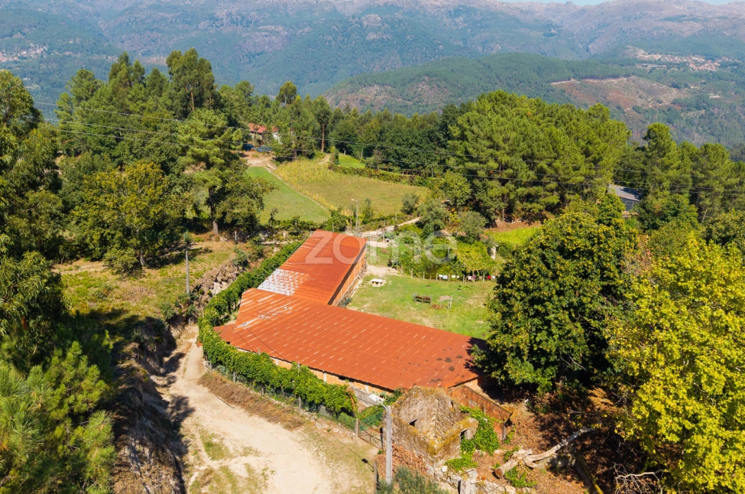 Terreno para Venda em Louredo Foto 12