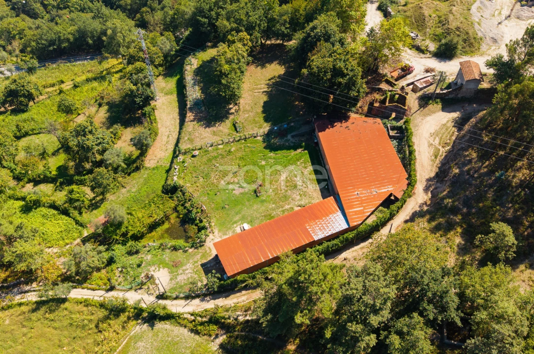 Terreno para Venda em Louredo Foto 3