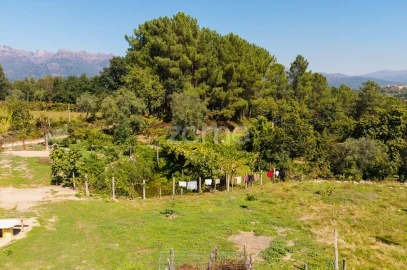 Terreno para Venda em Louredo