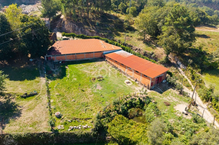 Terreno para Venda em Louredo Foto 13