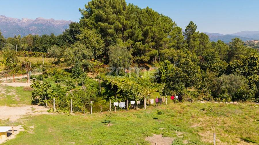 Terreno para Venda em Louredo