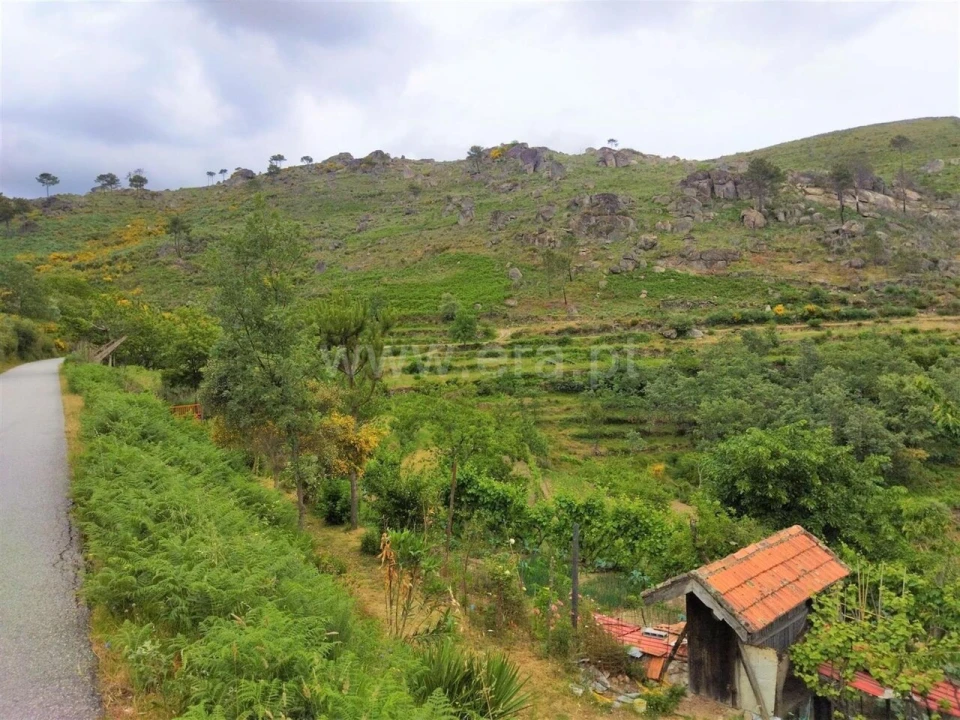 Terreno para Venda em Ferreiros de Tendais Foto 4