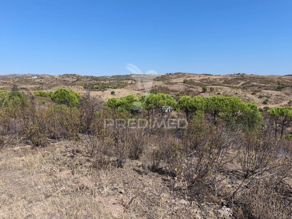 Terreno para Venda em Conceição e Cabanas de Tavira Foto 19