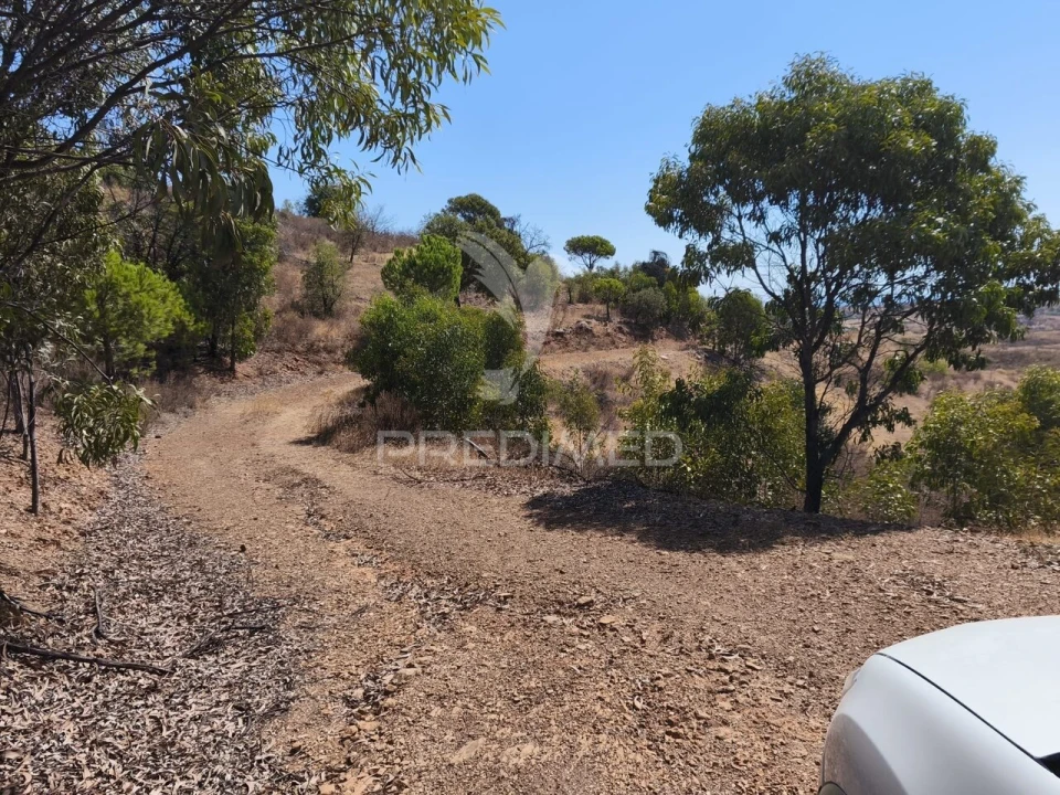 Terreno para Venda em Conceição e Cabanas de Tavira Foto 3