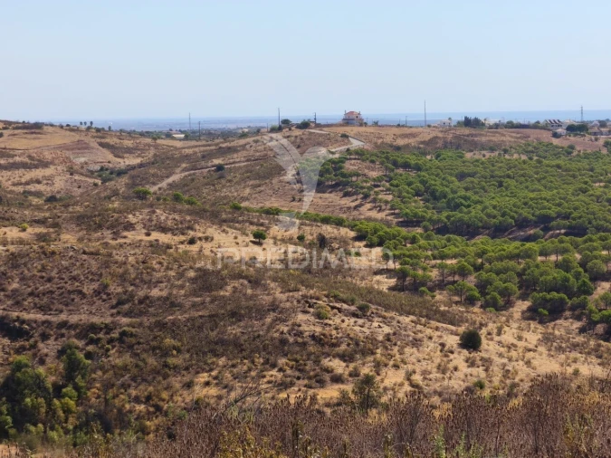Terreno para Venda em Conceição e Cabanas de Tavira Foto 12