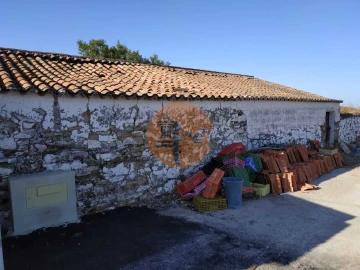 Negócio para Venda em Odeleite