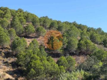 Terreno para Venda em Azinhal