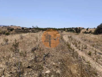 Terreno para Venda em Azinhal