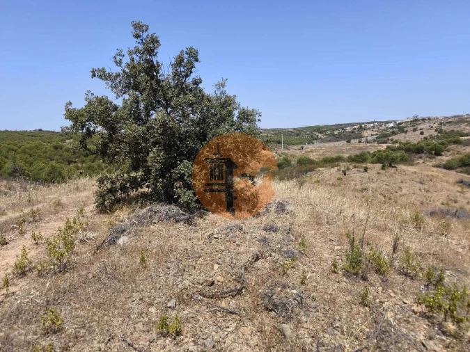 Terreno para Venda em Azinhal Foto 30
