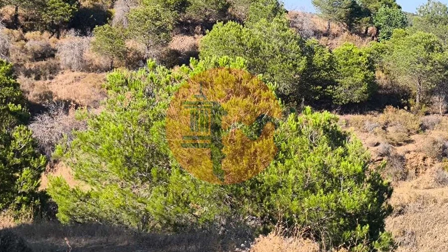 Terreno para Venda em Azinhal