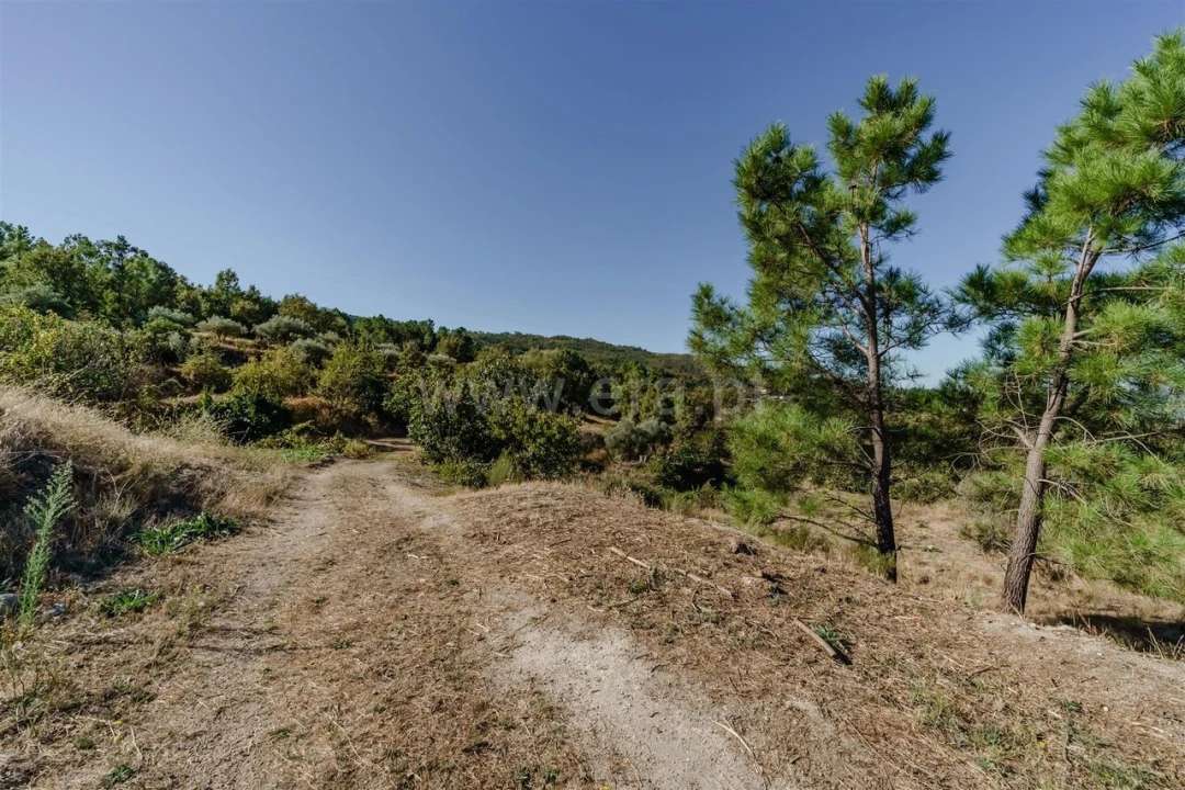 Quinta T2 para Venda em Ferro Foto 10