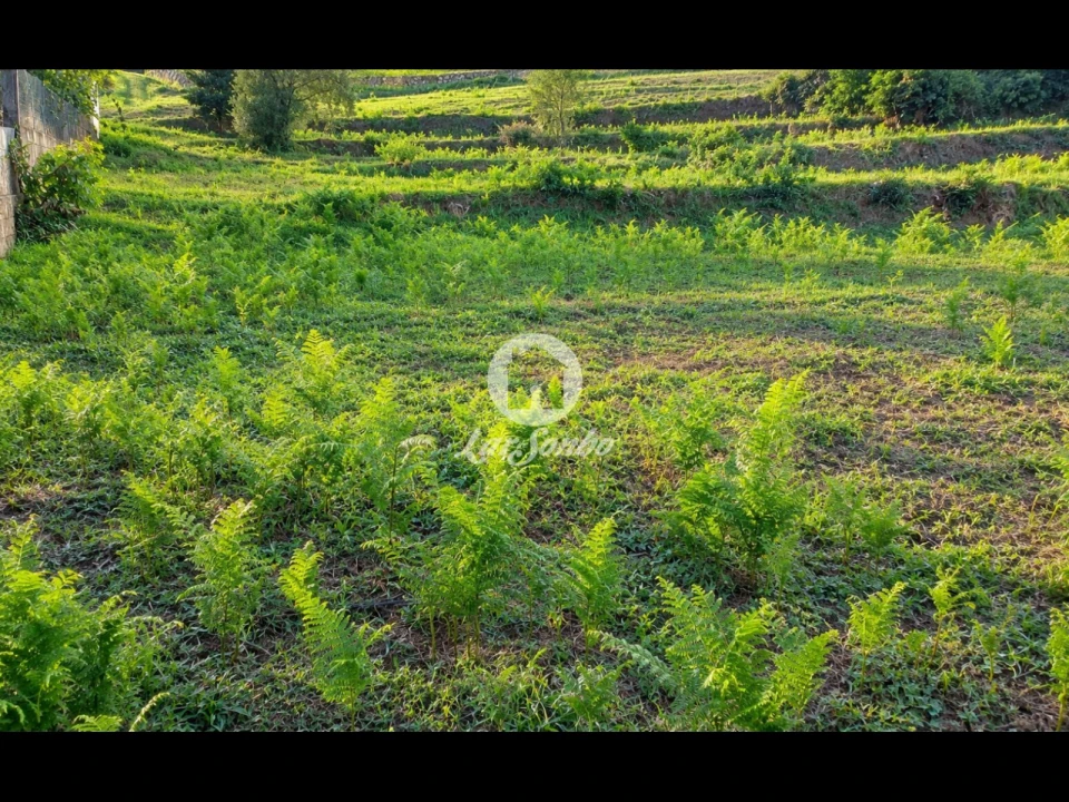 Terreno para Venda em Parada de Gatim Foto 5