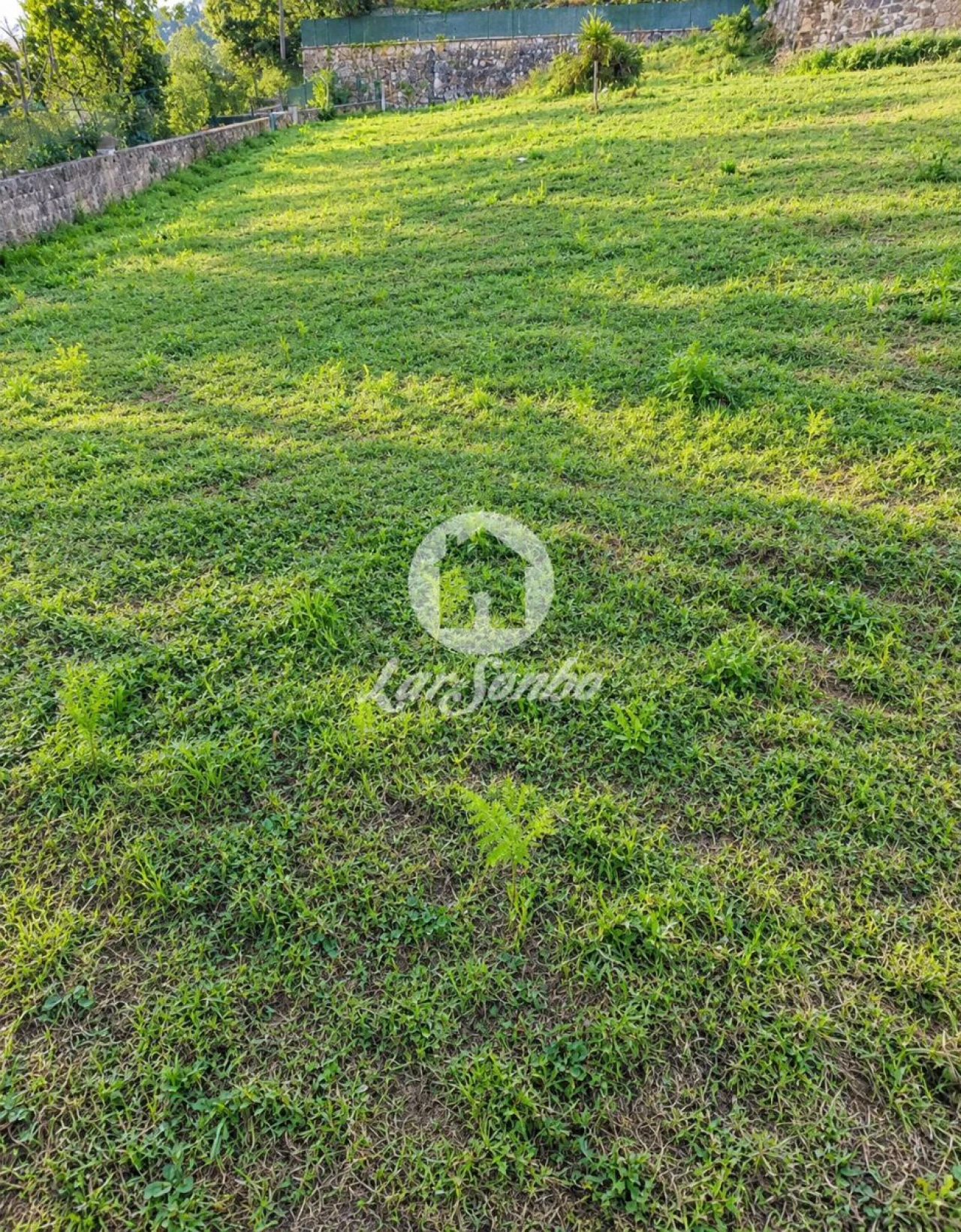 Terreno para Venda em Parada de Gatim Foto 8