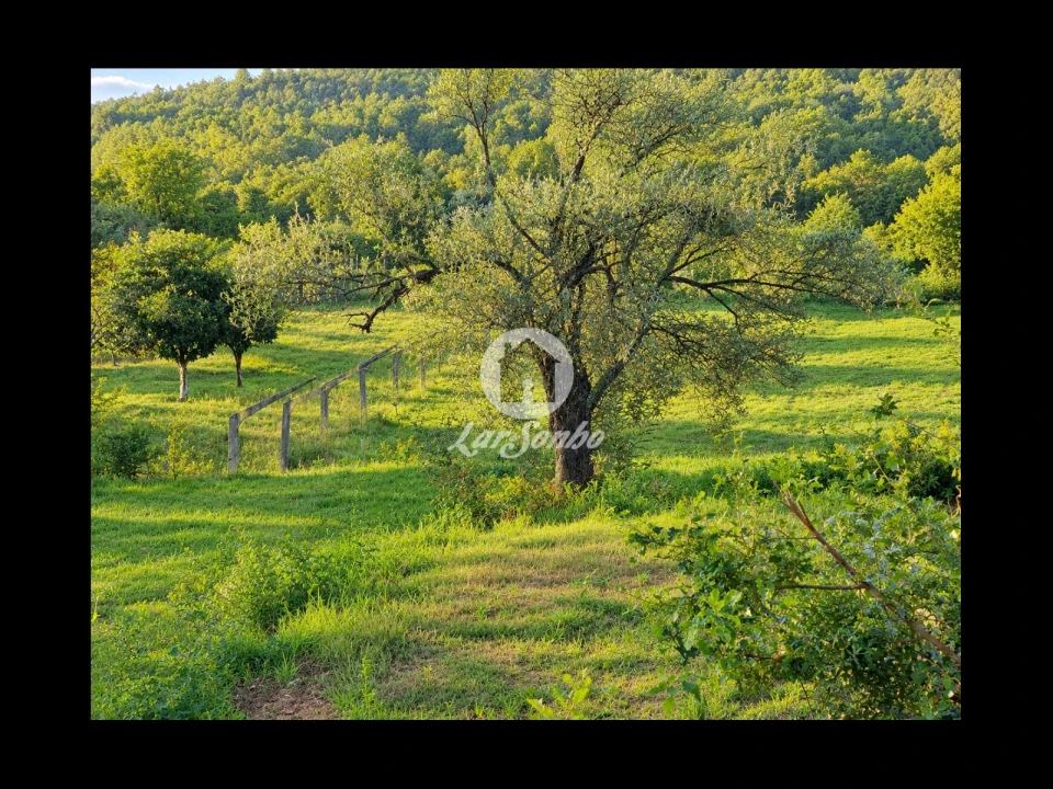 Terreno para Venda em Parada de Gatim Foto 13