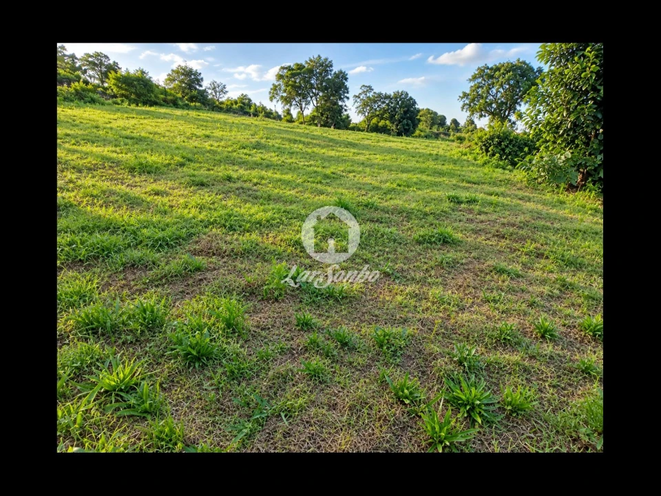 Terreno para Venda em Parada de Gatim Foto 22
