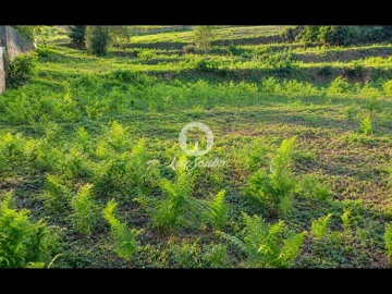 Terreno para Venda em Parada de Gatim