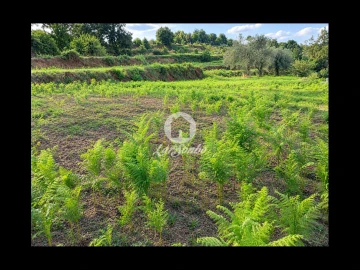 Terreno para Venda em Parada de Gatim