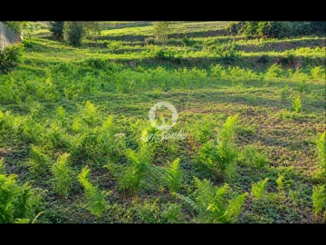 Terreno para Venda em Parada de Gatim