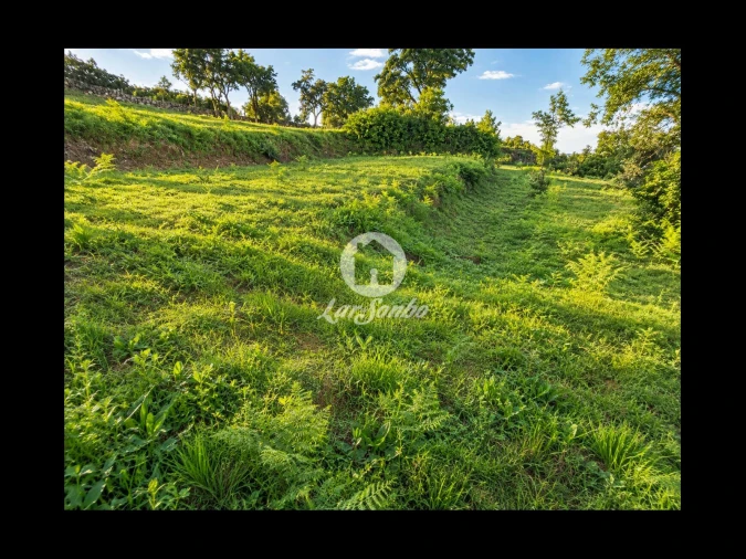 Terreno para Venda em Parada de Gatim Foto 3