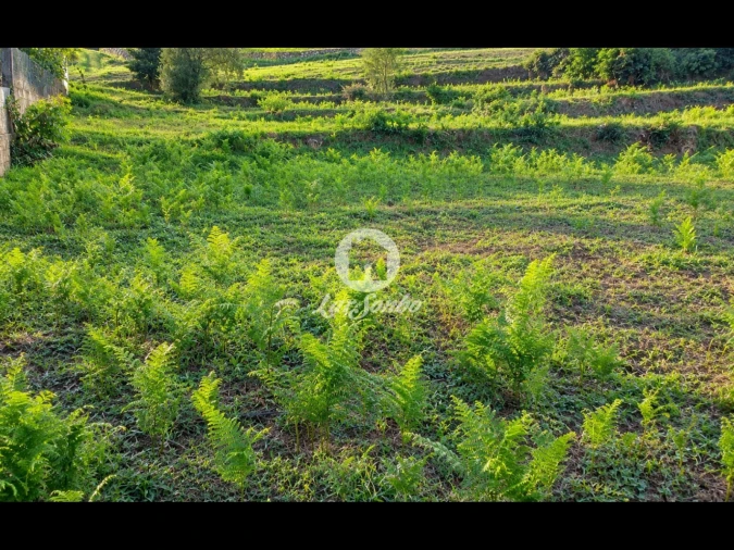 Terreno para Venda em Parada de Gatim Foto 5