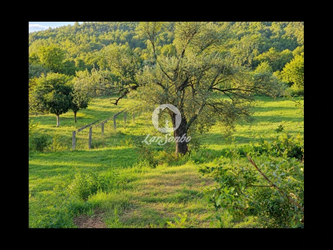Terreno para Venda em Parada de Gatim Foto 13