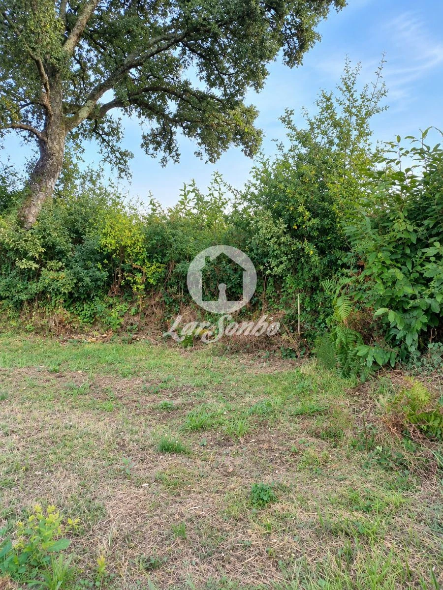 Terreno para Venda em Parada de Gatim Foto 15