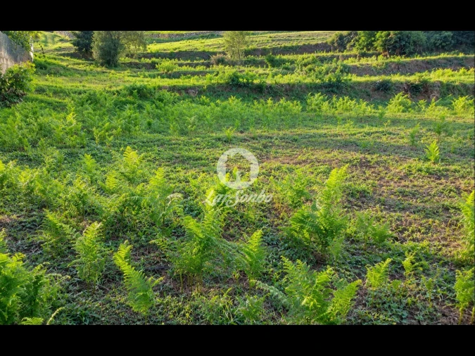Terreno para Venda em Parada de Gatim Foto 20