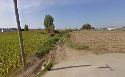 Terreno Agricola ou Rústico para Venda em Valega