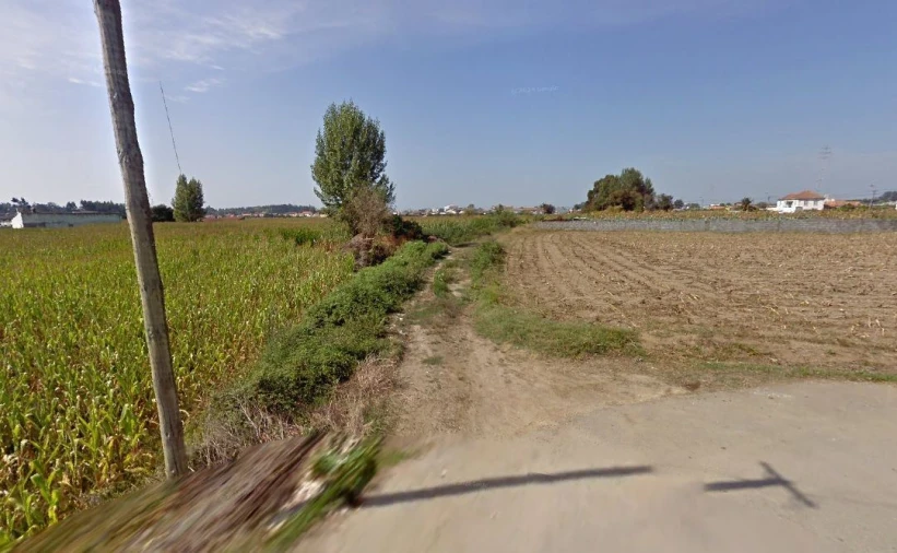 Terreno Agricola ou Rústico para Venda em Valega Foto 3