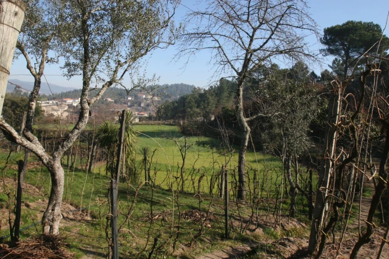 Quinta T2 para Venda em Amarante (São Gonçalo), Madalena, Cepelos e Gatão Foto 5
