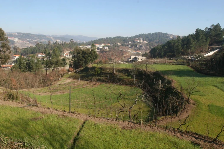 Quinta T2 para Venda em Amarante (São Gonçalo), Madalena, Cepelos e Gatão Foto 6