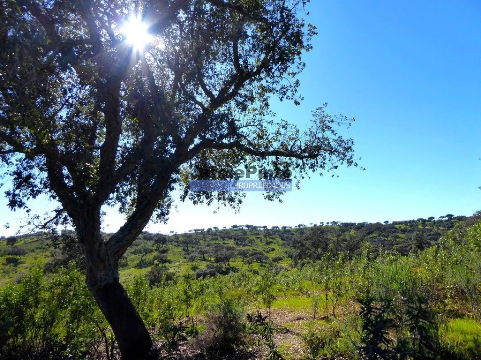 Terreno Misto para Venda em Amieira e Alqueva Foto 1