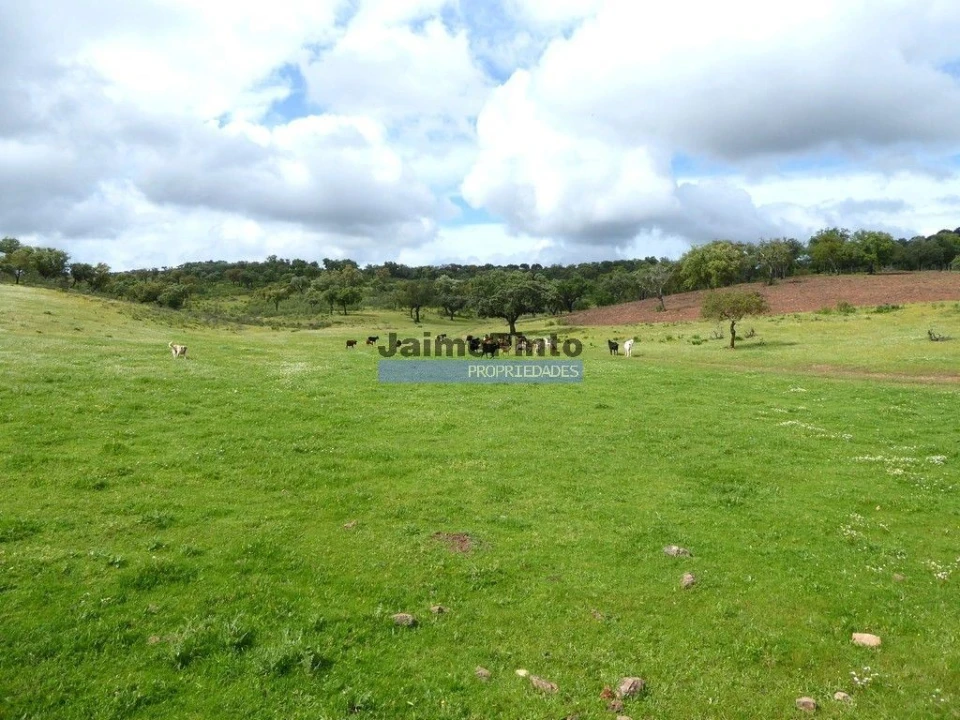 Terreno Misto para Venda em Amieira e Alqueva Foto 2