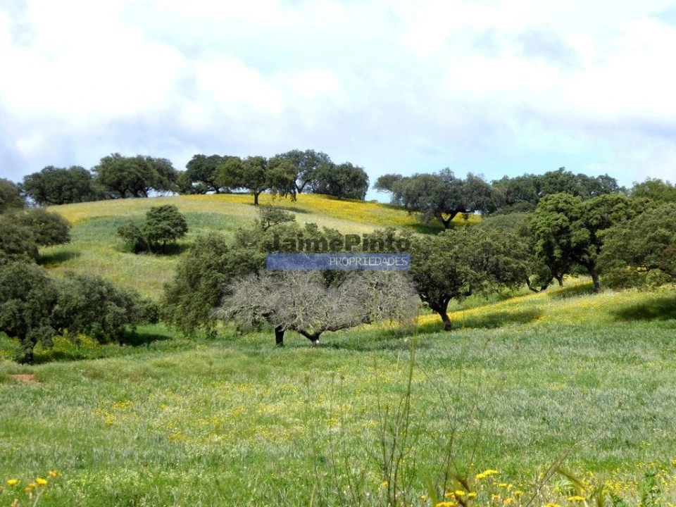 Terreno Misto para Venda em Amieira e Alqueva Foto 3