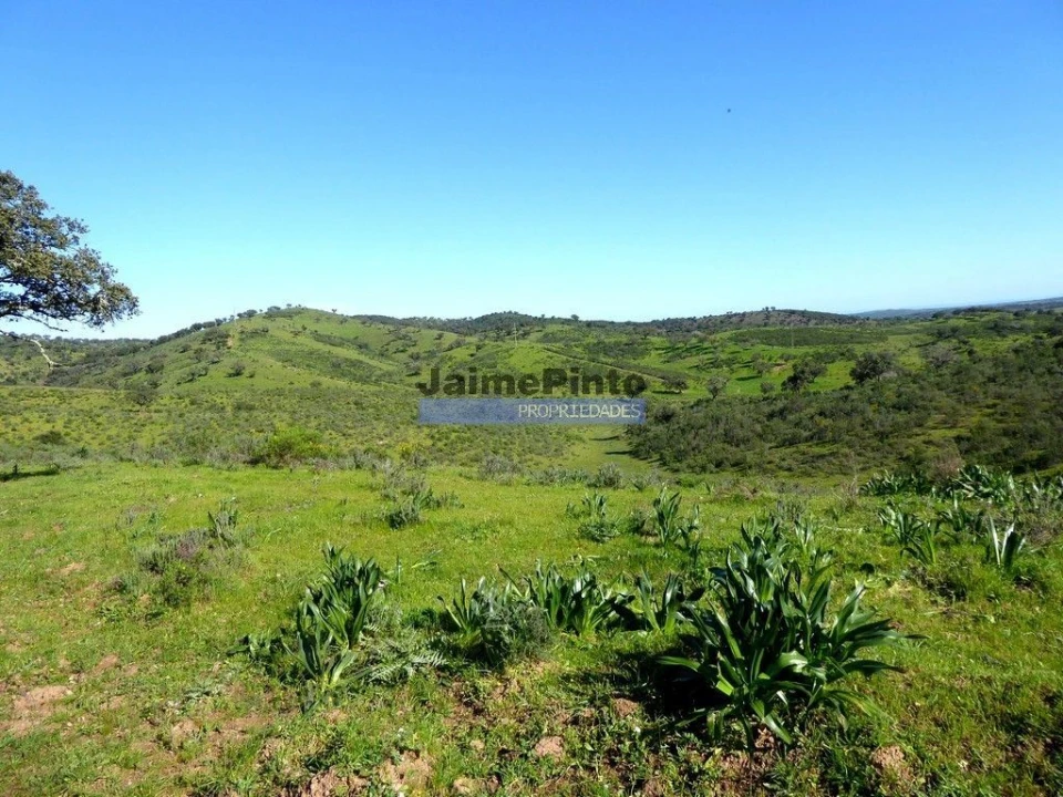 Terreno Misto para Venda em Amieira e Alqueva Foto 4