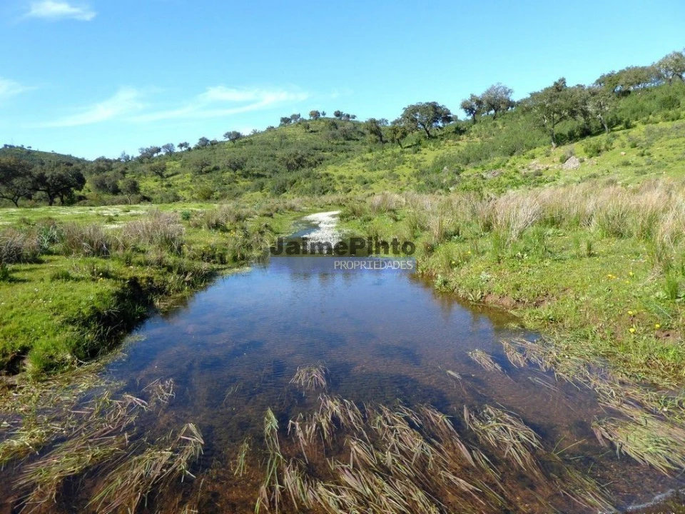 Terreno Misto para Venda em Amieira e Alqueva Foto 8