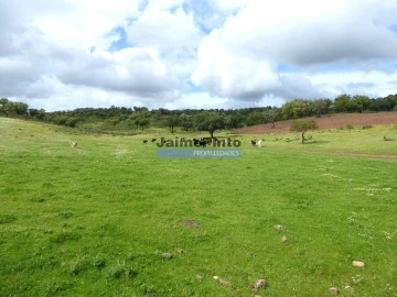 Terreno Misto para Venda em Amieira e Alqueva