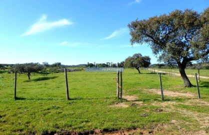 Terreno Misto para Venda em Amieira e Alqueva