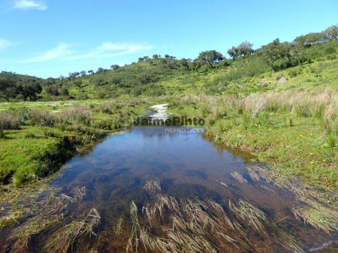 Terreno Misto para Venda em Amieira e Alqueva Foto 8