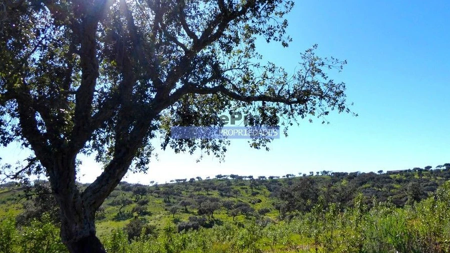 Terreno Misto para Venda em Amieira e Alqueva