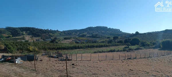 Moradia T3 para Venda em Alguber
